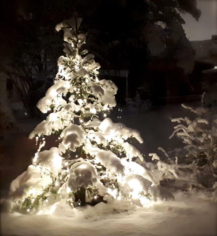 Villa Toivo Rovaniemi Exteriér fotografie